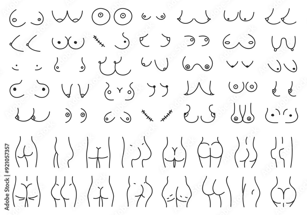 Hand drawn set types of female breasts and buttocks. Doodle boobs and