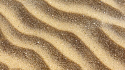 Wall Mural - fine beach sand texture with a sunny