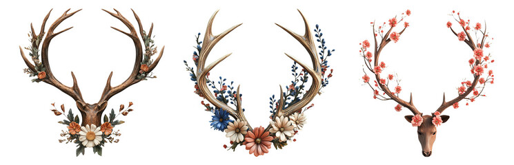 Deer antlers set decorated with flowers isolated on transparent background