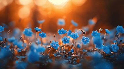 Sticker -   Blue flower field with sun-shining trees and blurry grass in foreground