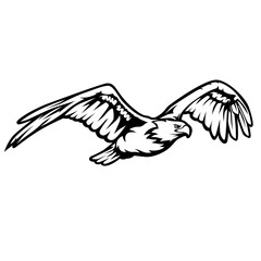  Eagle | Predator Bird | Flying Eagle | Flying Animal | Wildlife | Flying Bird | Golden Eagle | Wild Animal | Original Illustration | Vector and Clipart | Cutfile and Stencil