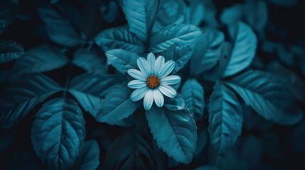 Sticker -   White bloom on verdant foliage amidst dense emerald canopy