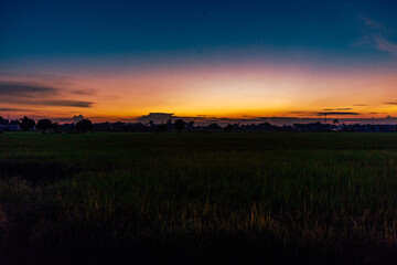 Nature Wallpaper (Mountains, Green Fields, Roadside Accommodation, Twilight Sky) The beauty of nature while traveling, with the wind blowing through the blurred leaves.