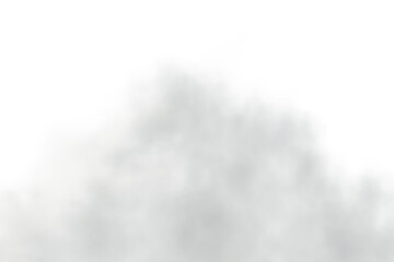 Wall Mural - transparent fog or smoke on transparent background. smoke on white background