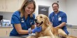 © Fox - Compassionate Veterinary Care Expert and dedicated services for all your beloved pets to ensure their health, happiness, and wellbeing, all with a professional veterinarians touch