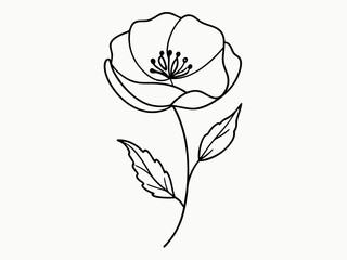 Sticker - continuous single line drawing of wild flower, corn poppy line art vector illustration
