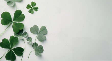 Poster - Arrangement of Green Clover Leaves on a Light Background