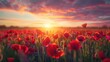 © Olha - Breathtaking landscape of a poppy field at sunset with the sun dipping low on the horizon, casting a warm glow over the vibrant red flowers