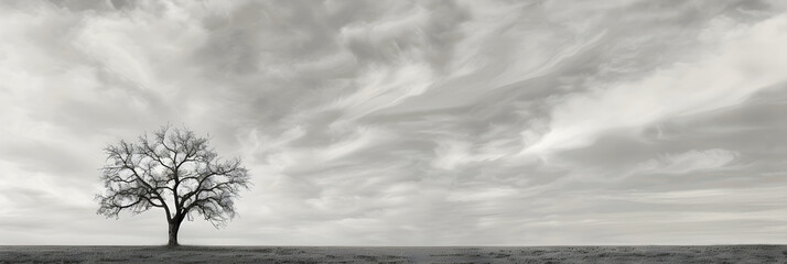 Solitary Tree in Grayscale Field Under Wispy Cloud-Filled Sky