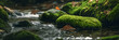 © Matthias - Nature banner with moss-covered rocks in forest stream, soft background, space for text