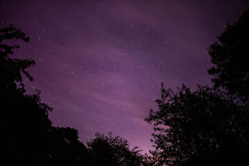 Wall Mural - bright red-violet sky northern lights and sun flares starry sky