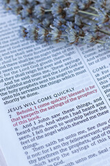 Wall Mural - Biblical verses for Jesus Christ's second coming in open holy bible book with lavender. Close-up. Selective focus. Revelation prophecy, God's power and authority, salvation, Christian biblical concept