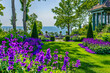 © Sunshower Shots - Mediterranean classical garden with purple delphinium flowers and cypress trees, ocean seaside, landscaping design