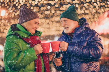 Two people parents married retired couple man woman celebrate x-mas christmas time eve hold eggnog beverage mug toast wish under evening illumination