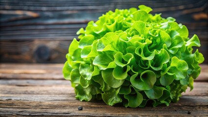 Freshly harvested green lettuce plant ready for a delicious salad , lettuce, green, fresh, harvest, plant, organic, healthy