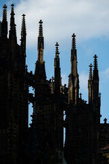 Wall Mural - Prague, Czech Republic, gothic columns of the cathedral in the castle