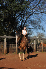 Wall Mural - menina vaqueira cavalgando com cavalo marrom 