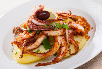 Wall Mural - Fried spicy tentacles squid served on white plate with potatoes, lemon slices and fresh parsley