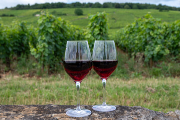 Poster - Tasting of red pinot noir wine on grand cru vineyards with cross and stone walls in Cote de nuits, making of famous red and white Burgundy wine in Burgundy region, Vosne-Romanee village