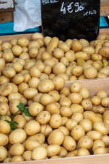 Wall Mural - Potatoes on market, new harvest of potatoes vegetables close up, food background