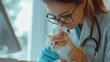 © Belho Med - veterinarian in glasses examining a ginger kitten gently