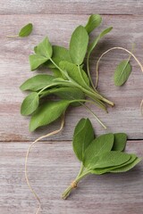 Wall Mural - Green sage leaves on color wooden table, flat lay