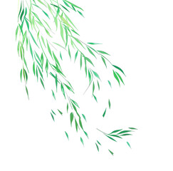 Poster - Vibrant green leaves cascade down against a dark background, creating a sense of tranquility.