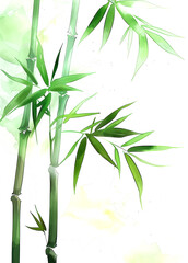 Wall Mural - Close-up of vibrant green bamboo stalks and leaves against a dark background.