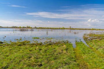 Flooded area near the Dnieper River in spring