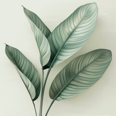 Wall Mural - art board filled with big green leaves, realistic but simple depiction