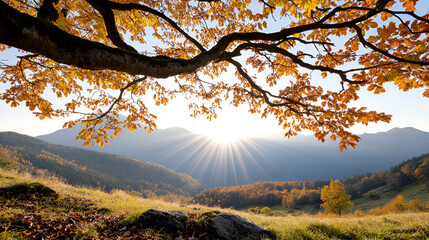 Wall Mural - Golden Autumn Sunrise in the Mountains - Breathtaking Nature Photography