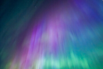 Wall Mural - northern lights dancing over dark sky