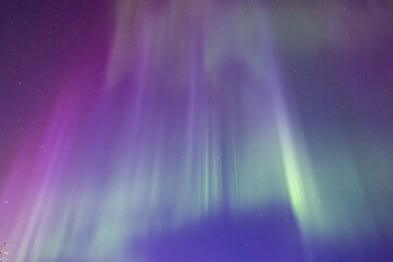 Wall Mural - northern lights dancing over dark sky