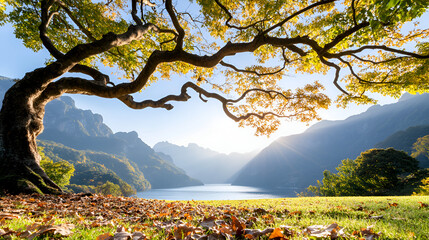 Wall Mural - Stunning Autumn Landscape with Tree Overlooking Serene Lake and Mountain Range