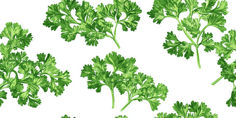 Parsley bunches with curly leaves on a white background, lush, green appearance, seamless pattern