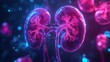© mediastok.ai - Human Kidney Anatomy Illustration