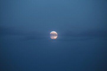 Wall Mural - a large full moon shines brightly in the night sky.