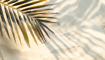 Wall Mural - Copy space of shadow palm leaf on sand beach texture background