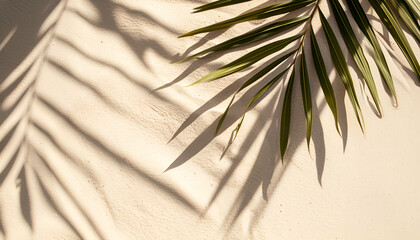 Wall Mural - Copy space of shadow palm leaf on sand beach texture background