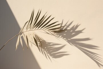 Canvas Print - Shadow of a palm tree nature plant leaf.