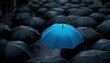 © Kateryna Hurzenkova - A single blue umbrella stands out among a crowd of black umbrellas on a rainy day