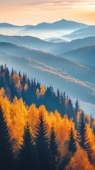 Poster - Golden autumn forest covering picturesque mountain slopes at sunset