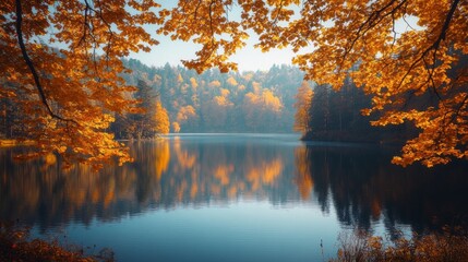 Poster - A beautiful lake with a forest in the background