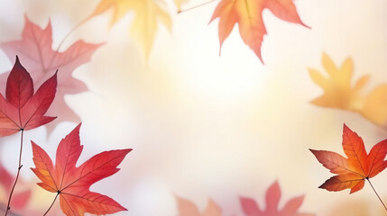 Wall Mural - Frame of beautiful colorful autumn leaves in a soft haze.