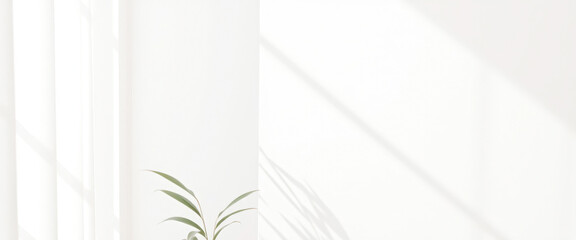 Wall Mural - Minimalist White Wall with a Single Plant and Sunlight