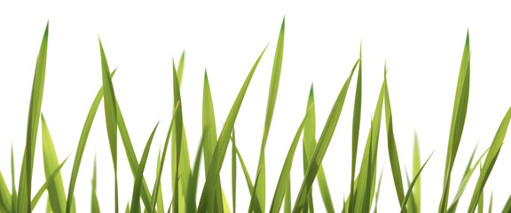 Sticker - Close-up of Green Grass Blades