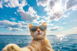 © marie - Chat Heureux en Selfie Estival au Bord de la Mer