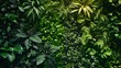 © SmartArt - Lush Indoor Plant Collection in Biophilic Design