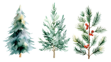 Watercolor Christmas tree clipart, isolated on white background