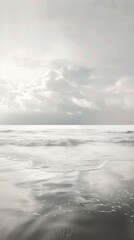 Wall Mural - Grey tone wallpaper beach reflection outdoors horizon.